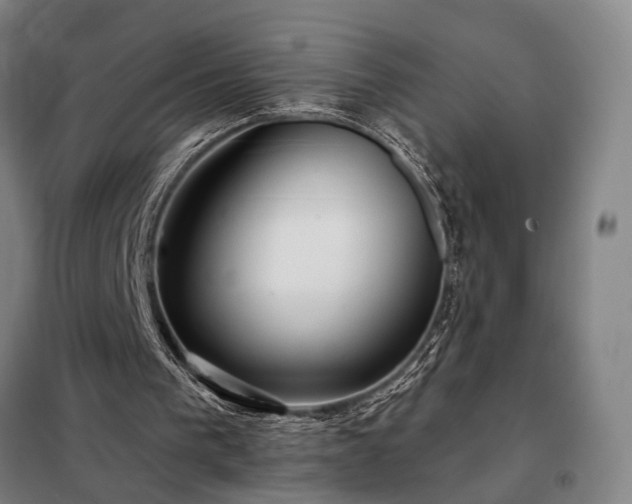 X0000098210193200805011218