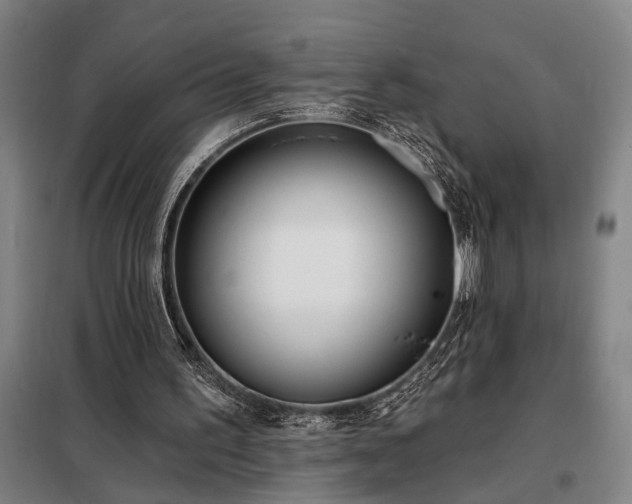 X0000098210195200805011218