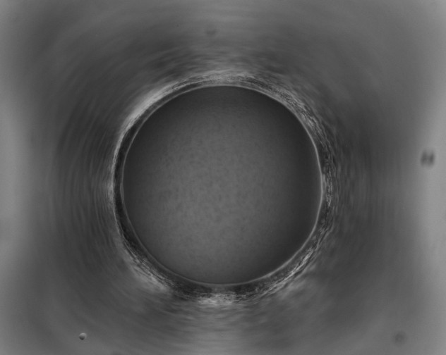 X0000098210196200805011218