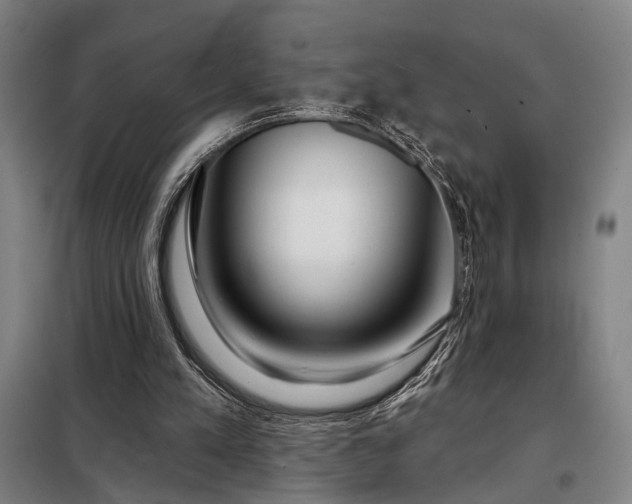 X0000098210197200805011218