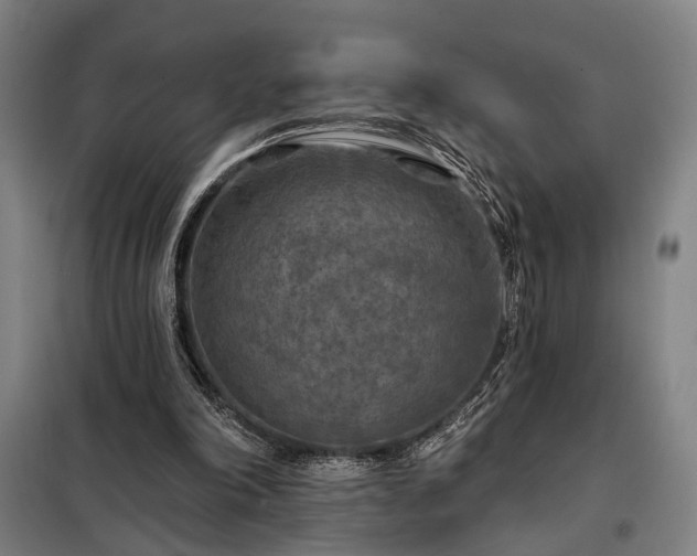X0000098210198200805011218