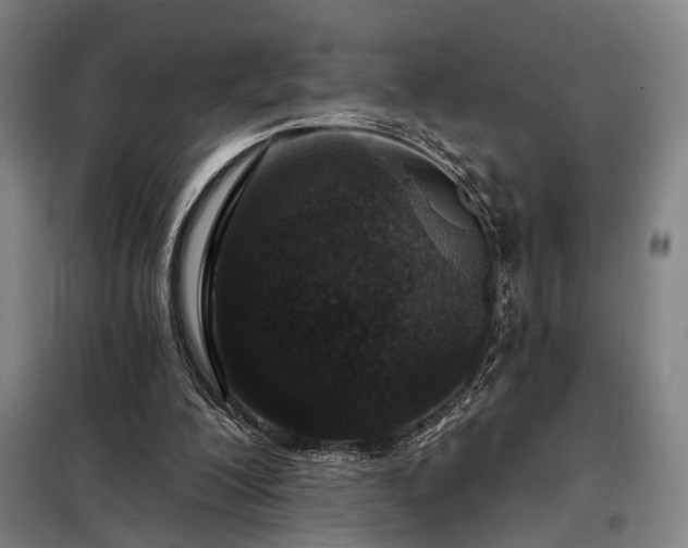 X0000098210200200805011218