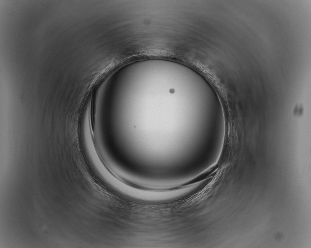 X0000098210201200805011218