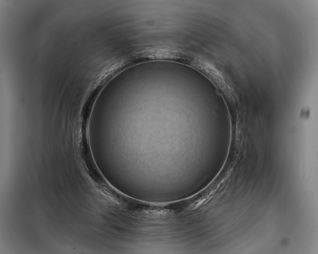 X0000098210202200805011218