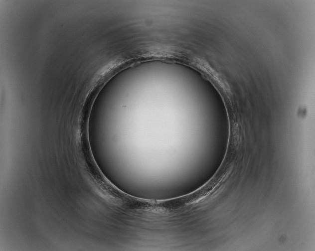 X0000098210203200805011218