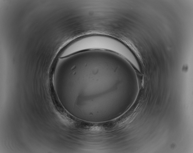 X0000098210204200805011218