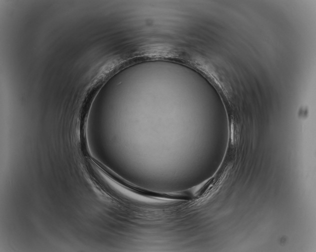 X0000098210205200805011218