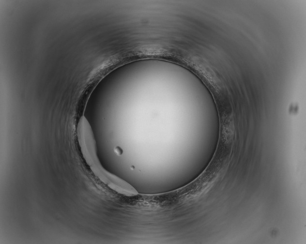 X0000098210207200805011218