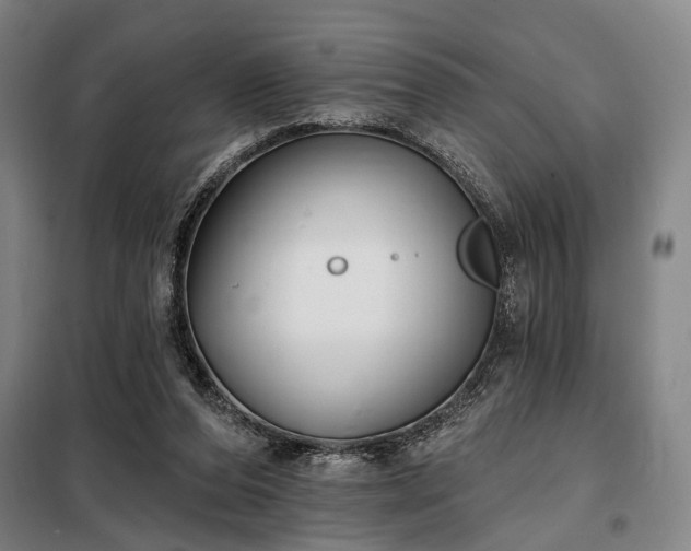 X0000098210208200805011218