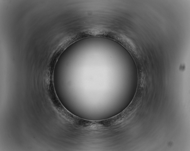X0000098210210200805011218