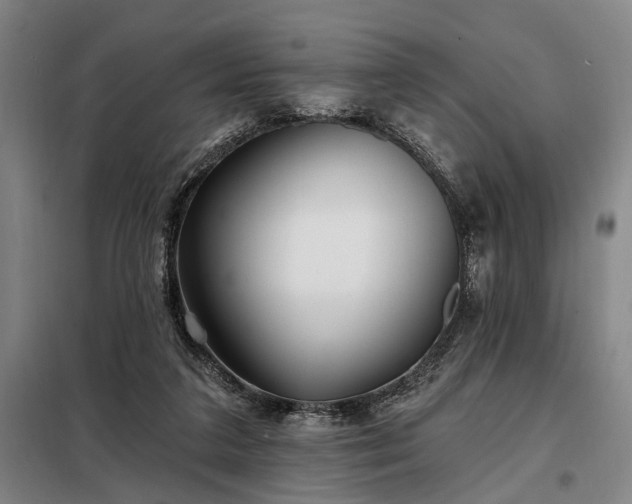 X0000098210211200805011218