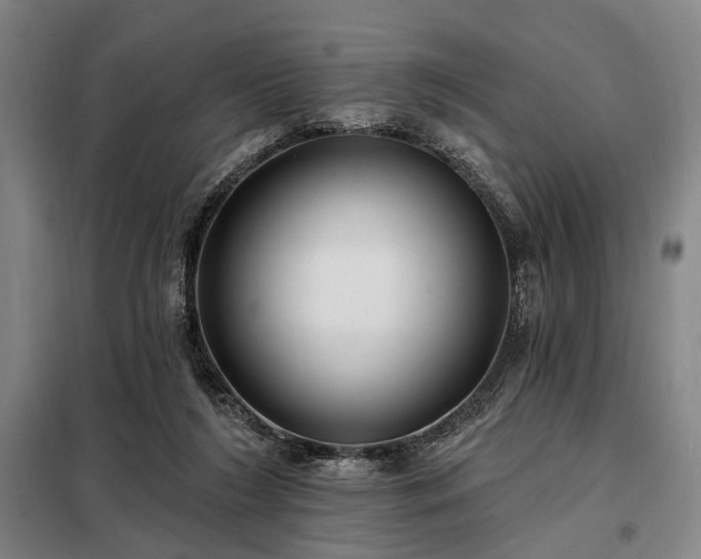 X0000098210212200805011218