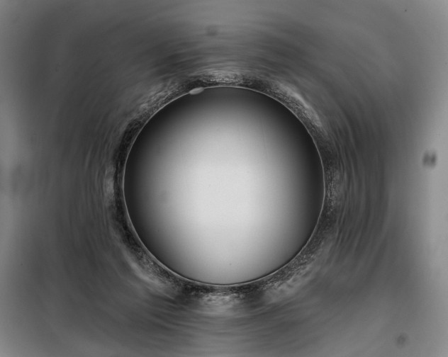 X0000098210213200805011218