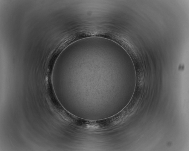 X0000098210214200805011218