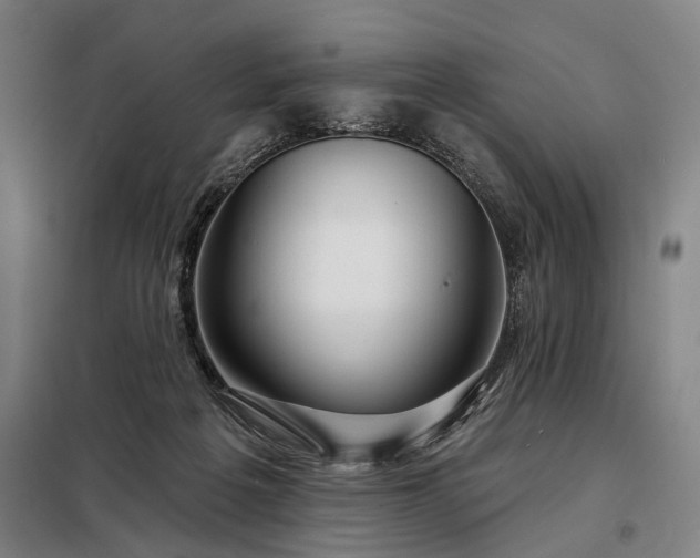 X0000098210217200805011218