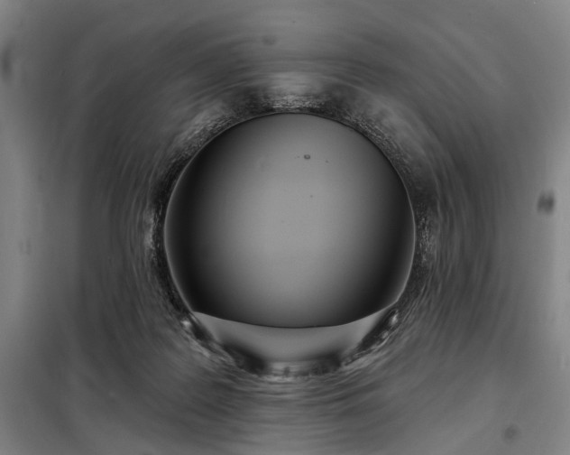 X0000098210219200805011218