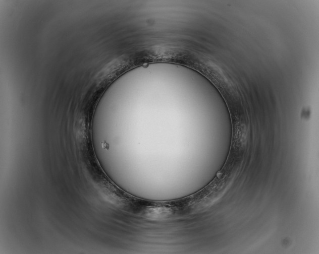 X0000098210220200805011218
