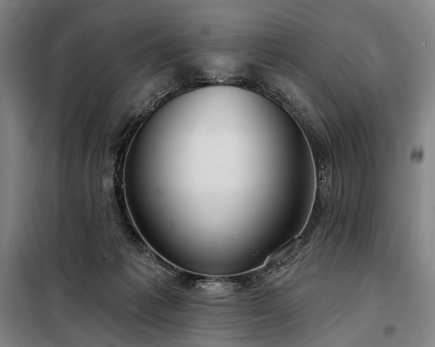 X0000098210221200805011218