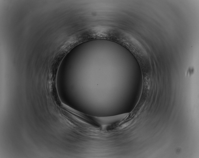 X0000098210223200805011218