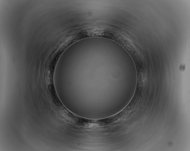 X0000098210224200805011218