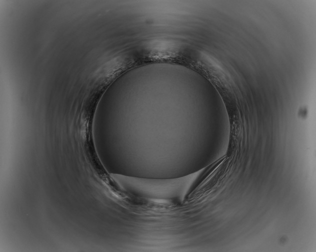 X0000098210227200805011218