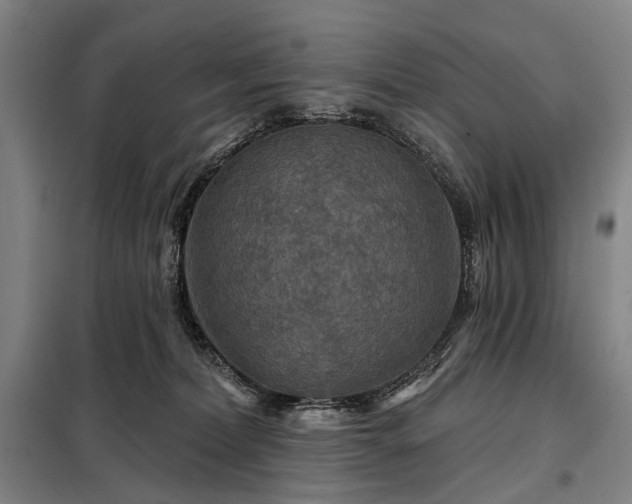 X0000098210228200805011218