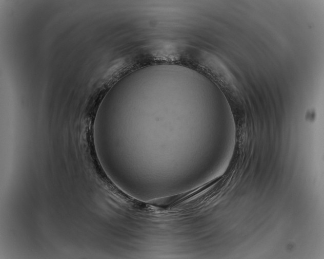 X0000098210229200805011218