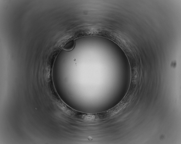X0000098210230200805011218