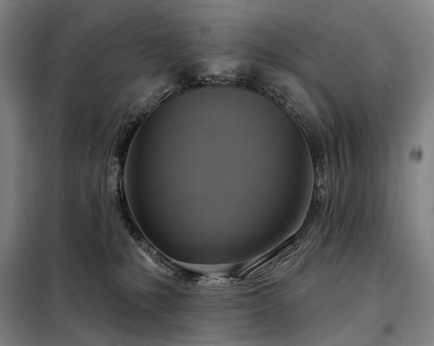 X0000098210231200805011218