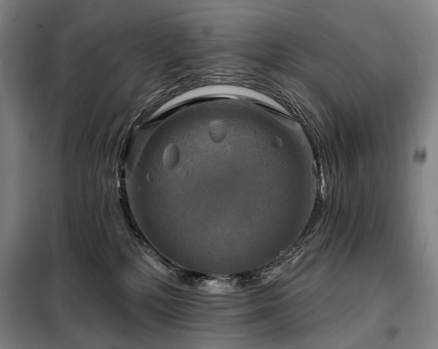 X0000098210232200805011218