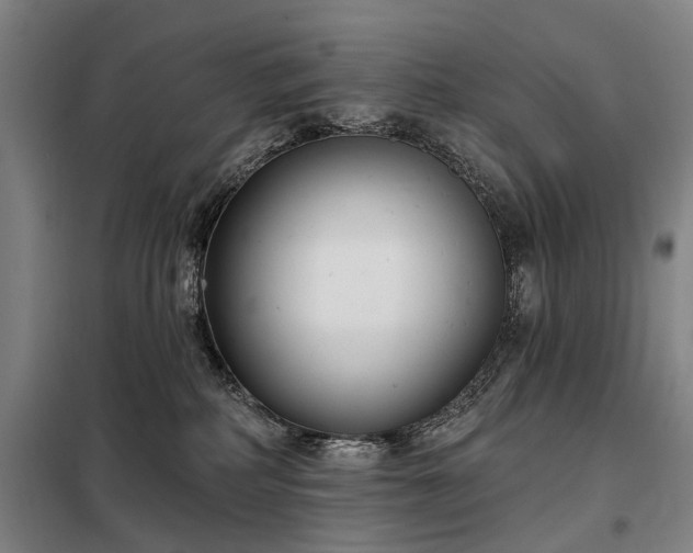 X0000098210234200805011218