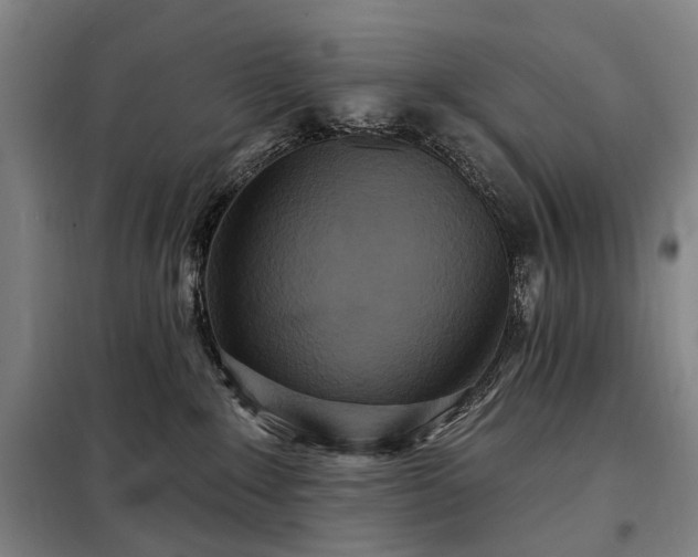 X0000098210235200805011218