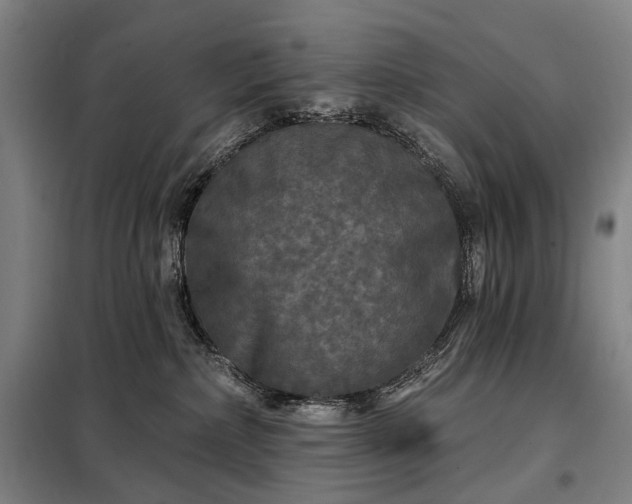 X0000098210236200805011218