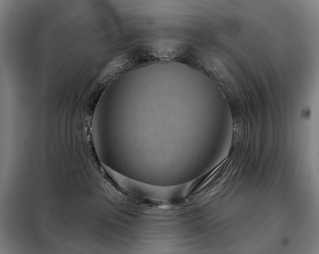 X0000098210237200805011218