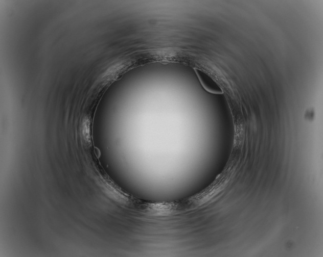 X0000098210238200805011218