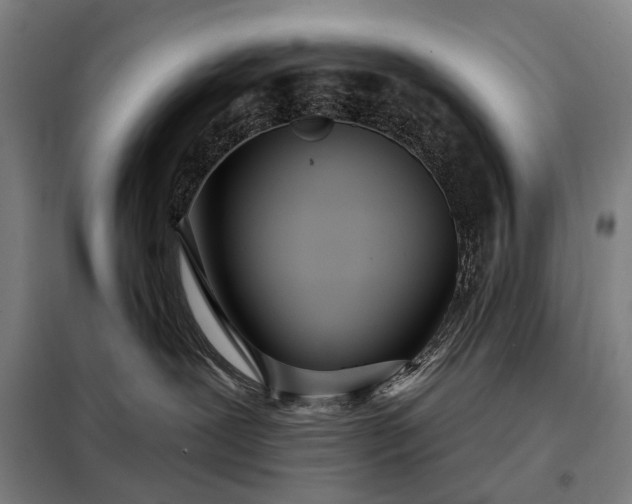 X0000098210239200805011218
