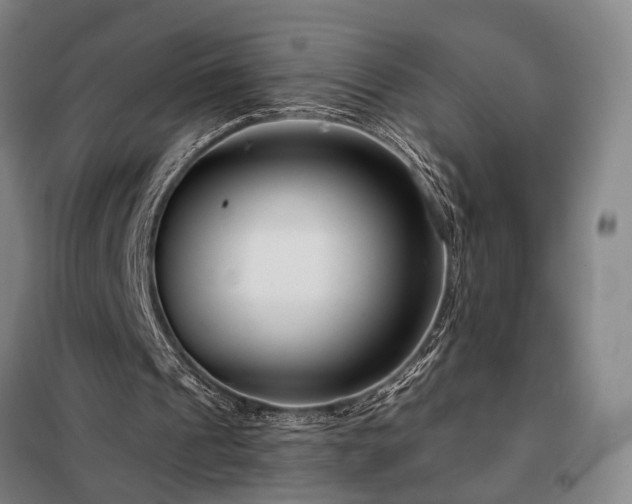 X0000098210241200805011217
