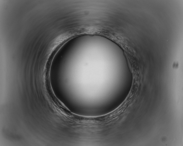 X0000098210242200805011217