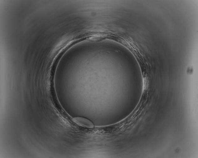 X0000098210243200805011217