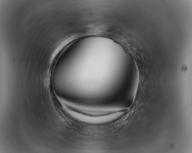 X0000098210244200805011217
