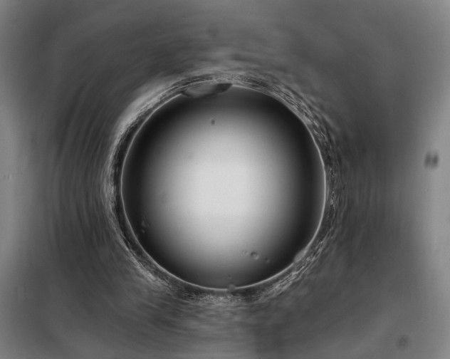 X0000098210245200805011217
