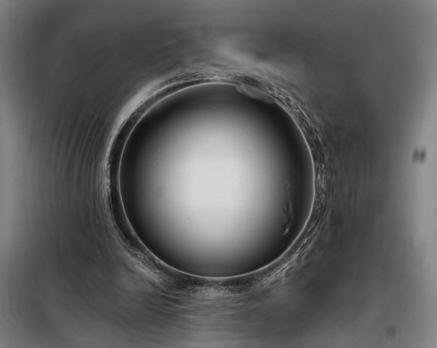 X0000098210246200805011217