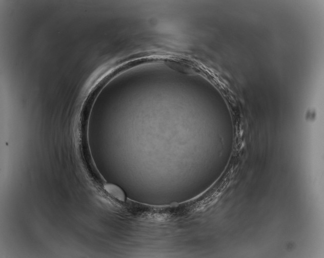 X0000098210247200805011217