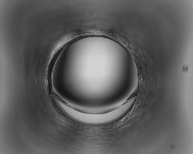 X0000098210248200805011217