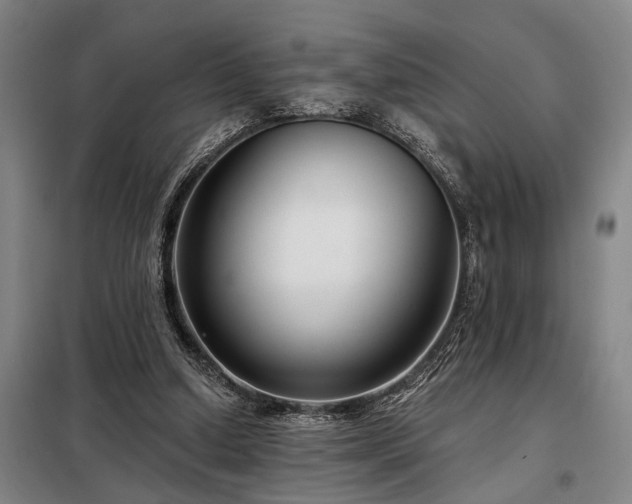 X0000098210250200805011217
