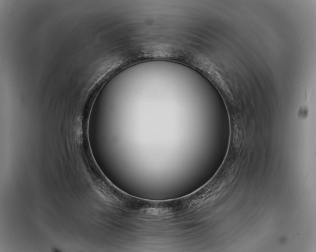 X0000098210251200805011217