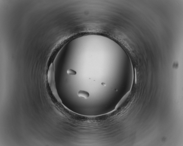 X0000098210252200805011217