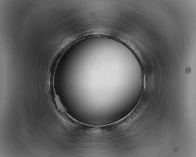 X0000098210253200805011217