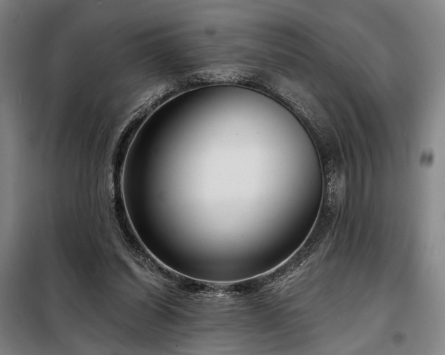 X0000098210254200805011217