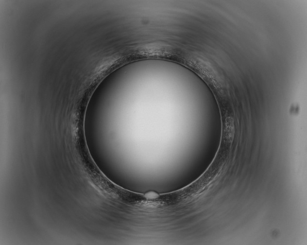 X0000098210255200805011217